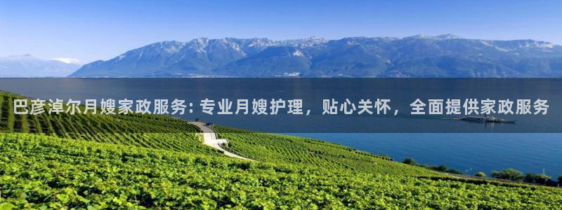 杏悦平台代理怎么赚钱快