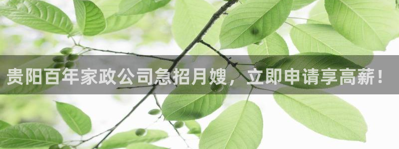 杏悦官方平台官网下载