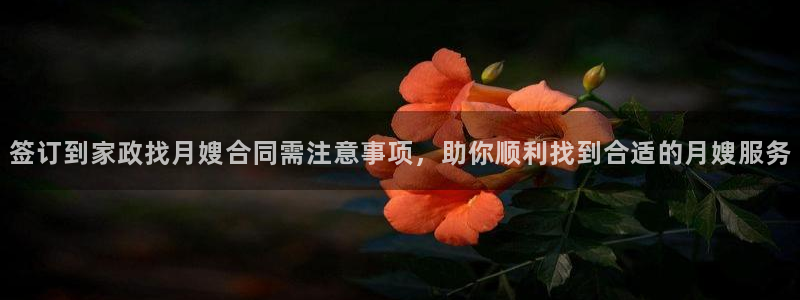 杏悦地址