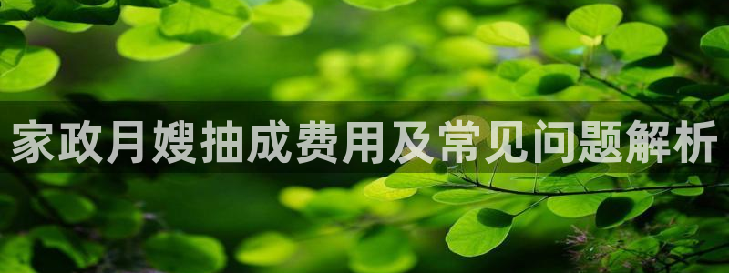 杏悦平台代理怎么样可靠吗