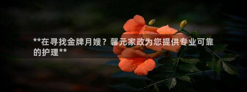 杏悦平台登陆