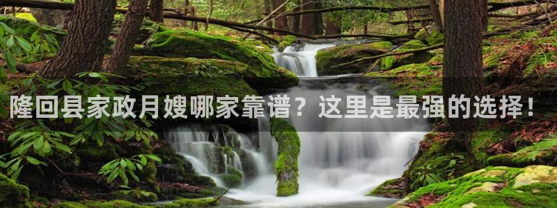 杏悦平台线路测速