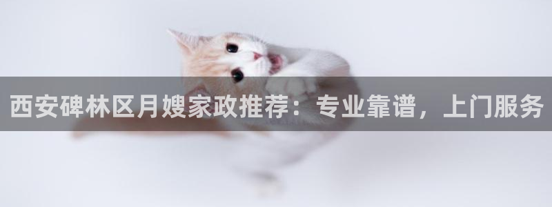 杏悦1招商地址