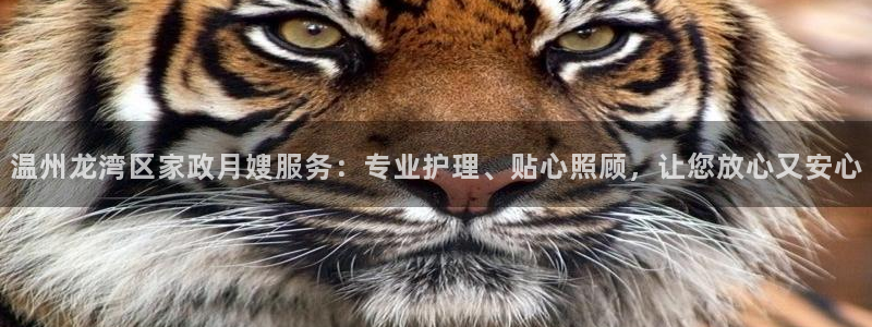 杏悦平台代理注册多少钱