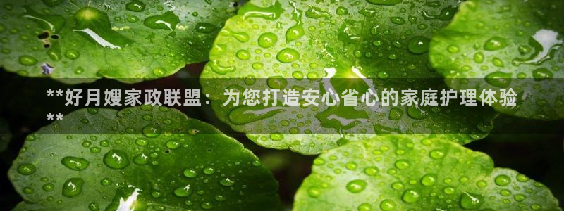杏悦平台