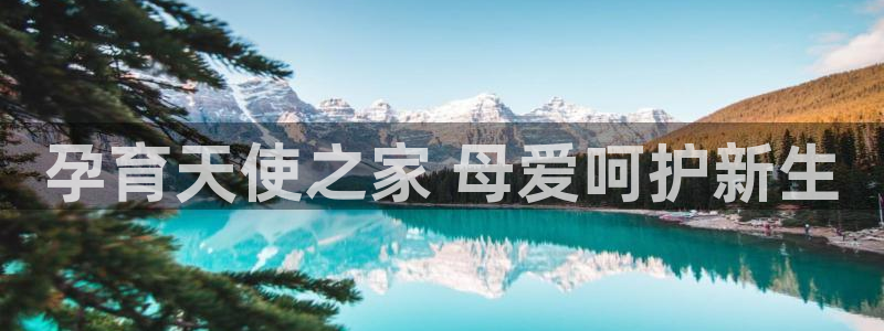 杏悦平台如何