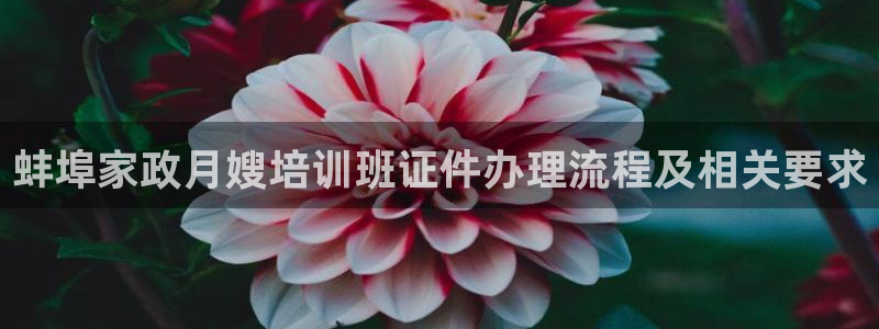 杏悦平台可靠吗是真的吗吗