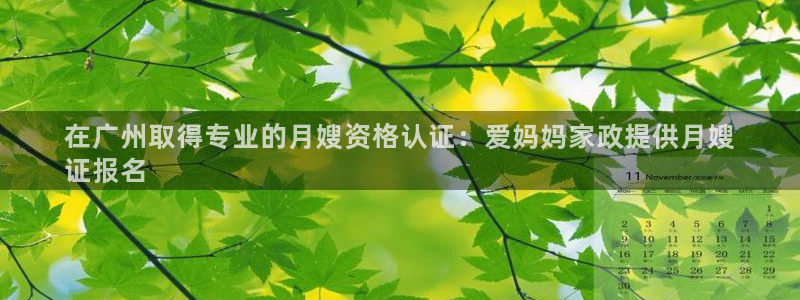 杏悦平台如何